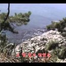 김범용 카카오 검색결과
