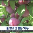 길식농장 이미지