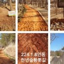 옥동부산복어 이미지