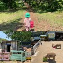 유나목장 이미지