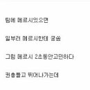아나메르 이미지