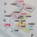 세계자동차 제주박물관 | 제주 세계 자동차박물관 제주도 아이랑 비올때 가볼만한곳 실내 놀거리 후기