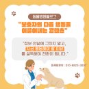 더 가까운 동물병원 이미지