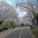 대한민속그네 이미지
