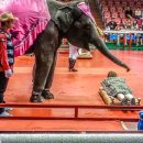 루시드엠 이미지