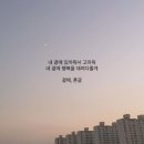 달콩 이미지