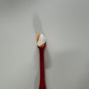 1426 | 솔루치 S1 치약 후기 | 잇몸치약 구취제거치약 고민 끝에 고불소 1426ppm 선택한 이유