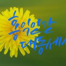 홍익인간세상 네이버블로그