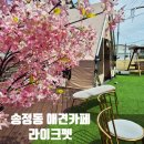 라이크펫 광주 강아지분양 고양이분양 | 광주 애견카페 고양이 강아지 라이크펫 아이랑 가기 좋은곳