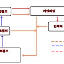 정일주유소 이미지
