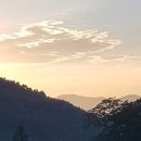 축령산편백하우스 이미지