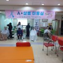 샬롬미용실 이미지