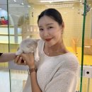 부산고양이분양 퍼스트캣 부산점 | 부산고양이분양 퍼스트캣 믿을수 있는곳 분양!