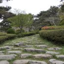 화순목장 Daum카페