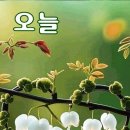 멋진 하루 이미지