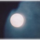 개밥바라기별 이미지