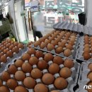 상승농장1 뉴스1
