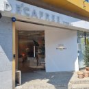 디카프리 완산 이미지