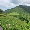 천사화원 이미지
