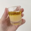 케이국제결혼 | 트리케이 올레샷 올리그레잇, 레모니톡으로 아침공복 올레샷 시작하기