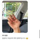 넬그리나 이미지