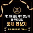 국가대표 아라태권도 이미지