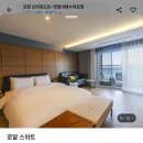 브라운도트 영일대해수욕장점 이미지