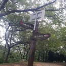 엄광산임도 이미지