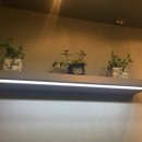 쥬시광양