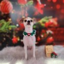 땡자네 묭실 이미지