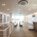 나우동물의료센터 이미지