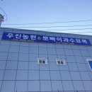 우진영농조합법인 이미지