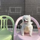 런독 이미지