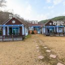 블루베리 가족 독채펜션 이미지