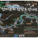 용두산 청과 Daum카페