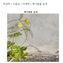 애기똥풀 등대 이제혁 / 디카시 수상작 이미지