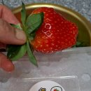 철희농장 이미지