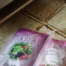 내장산 오디마을 이미지