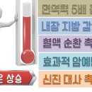 더쉼효소 이미지