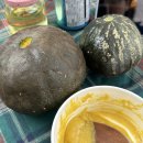 태안캠핑농원 | [태안 피구지 농원]아이두젠 텐트로 보냈던 2박 3일 라니 차박 혼캠기 2편