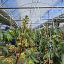 서홍농장 이미지