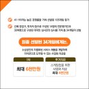 더루트컴퍼니