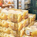 마이핫독 | 이마트 트레이더스 1월 1주차 할인 꼭사야하는 재구매 꿀템 추천