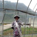 (주)대풍 이미지