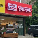 시티프라디움 사거리 | 화성 남양 가성비 넘치는 베이커리 빵아빵아 남양점 모든 빵 1000원