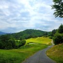 충북 보은 속리산 CC 6월 그린피 웨스트 코스 찐 후기