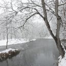 대왕농장 이미지