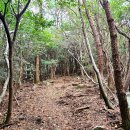 제5차(2025.12.13.토) 특별 번개 트레킹 안내 및 예약/경남 통영시 한산면 용초도 트레킹/정족수 미달과 비 예보로 취소합니다 이미지