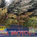 도심 - 공간 이미지