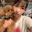 와카